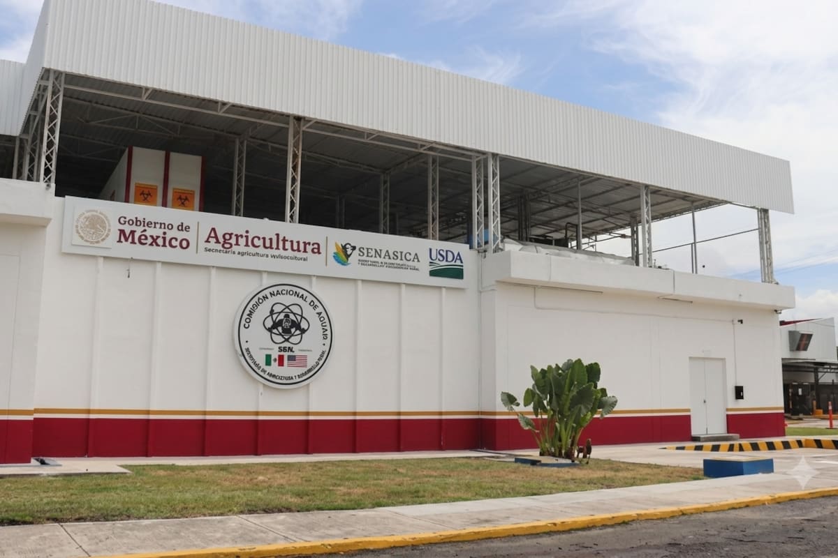 Planta envía un mensaje de cooperación: CSP
