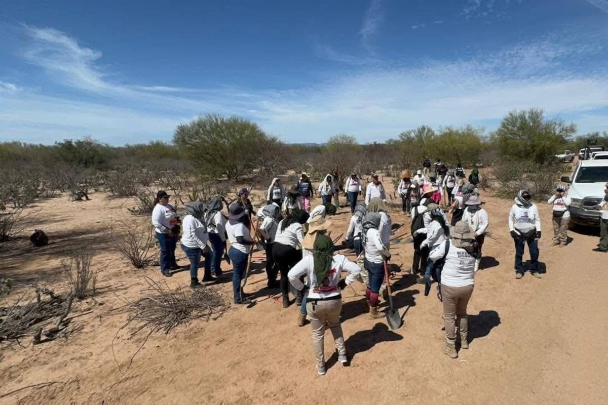 Colectivo de SLRC participa en la localización de 22 osamentas en jornada en el Valle de Guaymas