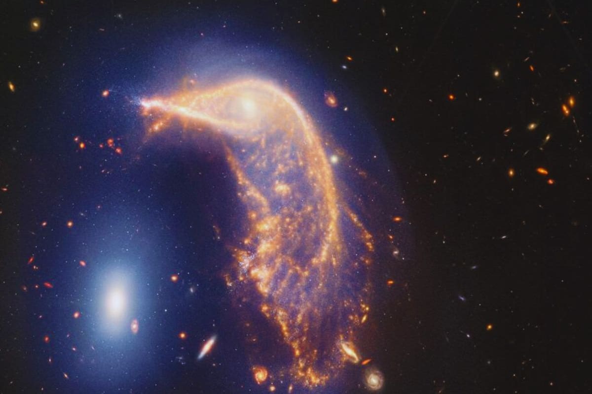 FOTO: Telescopio James Webb capta el final de la Galaxia “Pinguino”