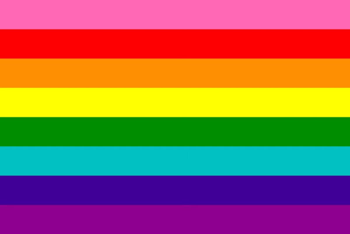 Bandera del Orgullo LGBTQ+ (1978) / Foto: Wikipedia