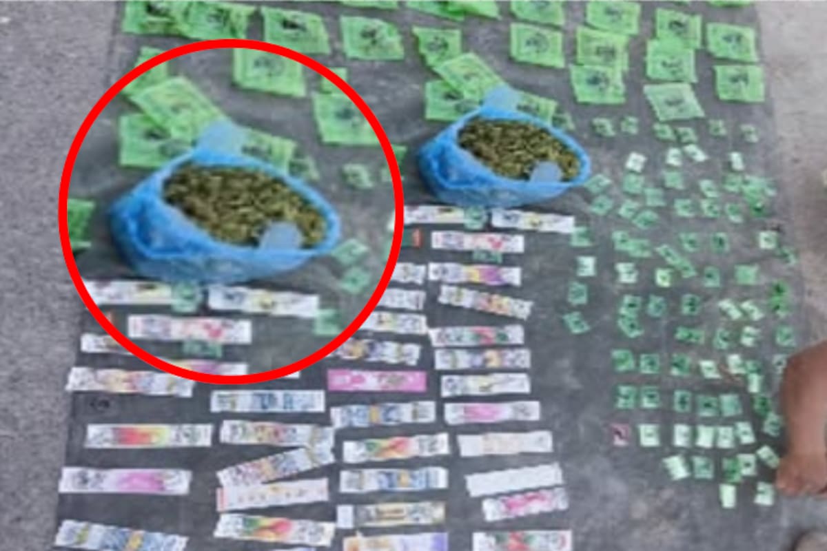 Fuerzas federales aseguran droga en operativo conjunto en zona rural de Mazatlán