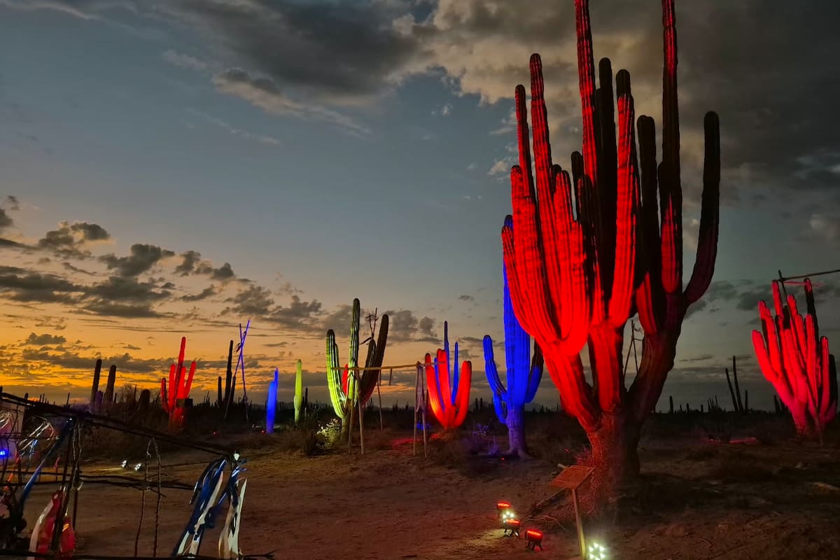 Representación del Año Nuevo Seri en el bosque de cardones marca el inicio del KinoFest con cánticos de sanación y pinturas tradicionales