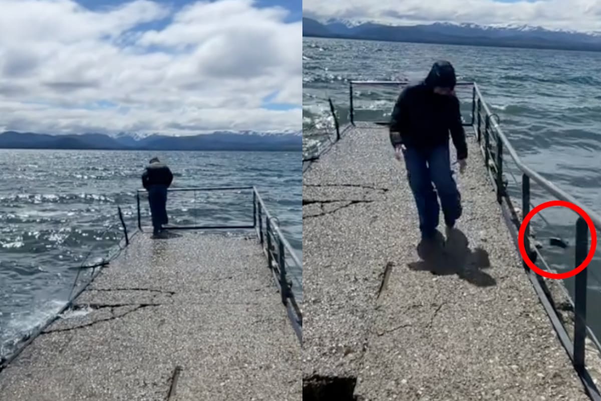 TikTok: joven pierde su celular en el agua al decidir correr en el muelle