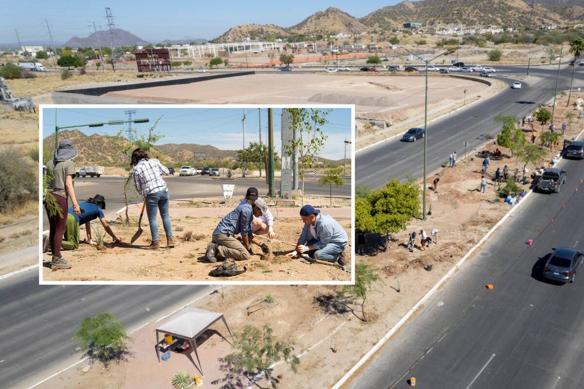 Tres años más y Hermosillo volverá a ser ciudad verde