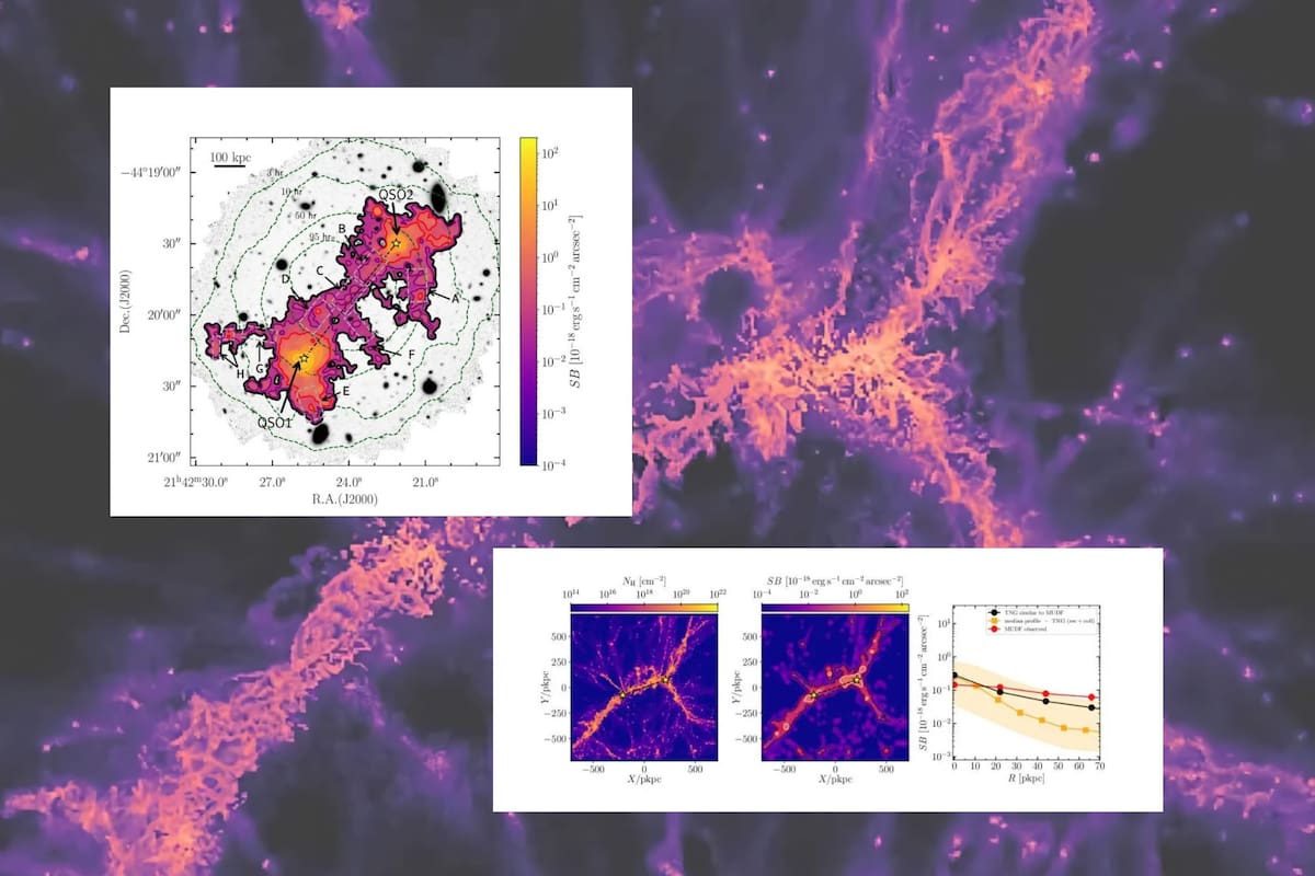 Primera imagen de la red cósmica revela ‘autopistas’ ocultas del universo