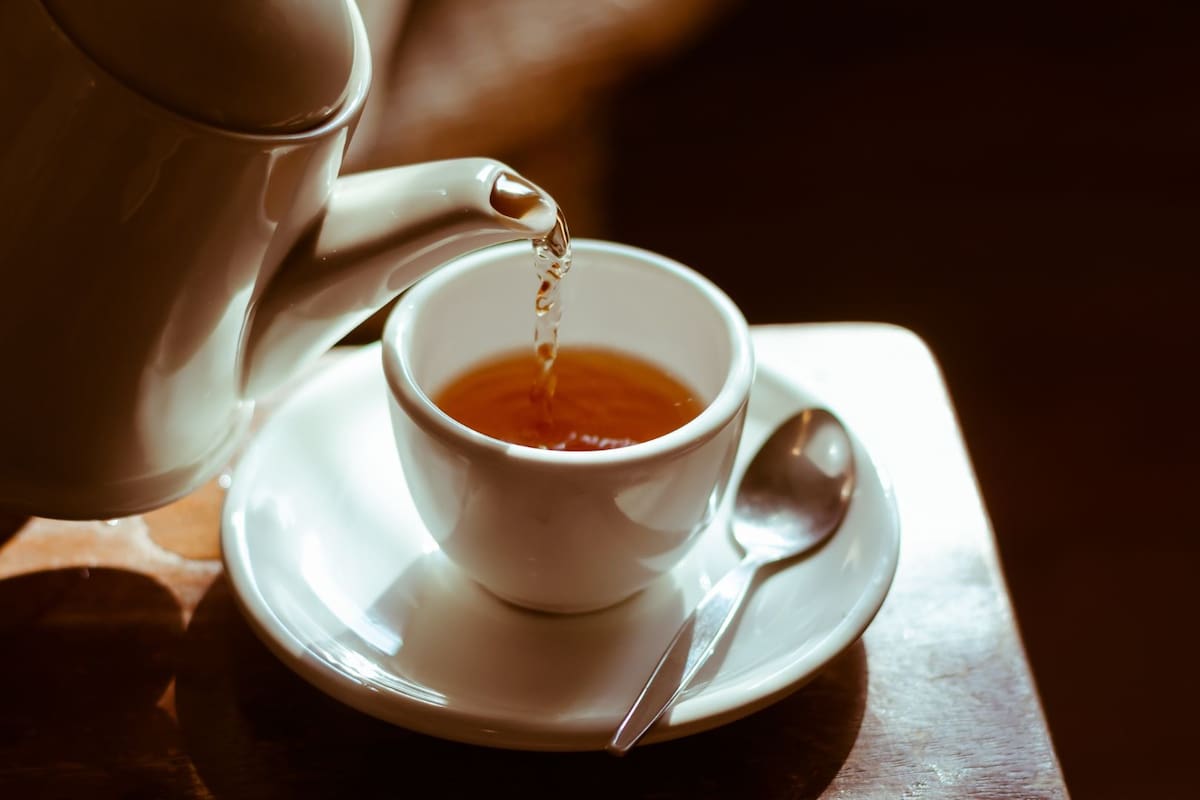 Para qué sirve el té de orégano