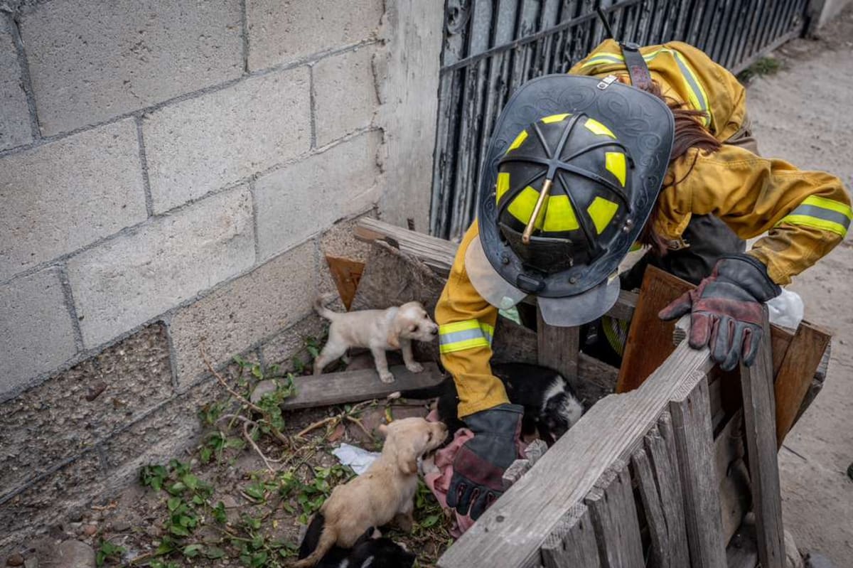 El hecho ocurrió en un camino de terracería conocido como Callejón del Camino de la Pedrera. Foto: Border Zoom