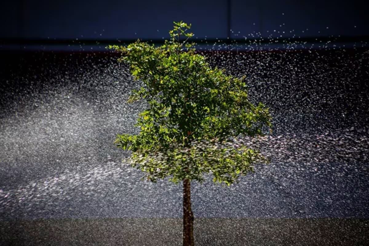 Noviembre iniciará con días soleados y temperaturas de hasta 34 grados centígrados