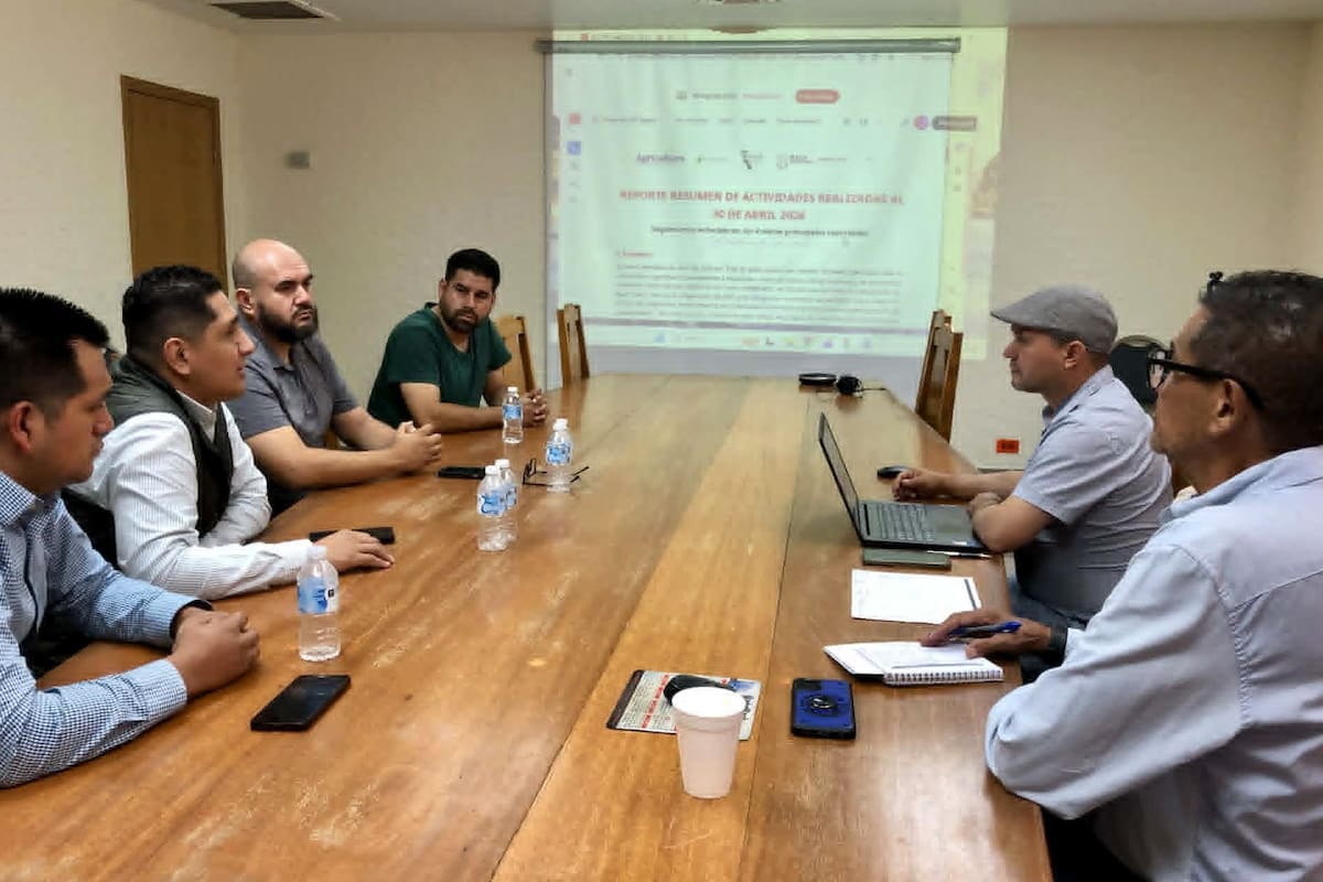Refuerzan vigilancia sobre plaguicidas y sanidad agrícola en San Quintín