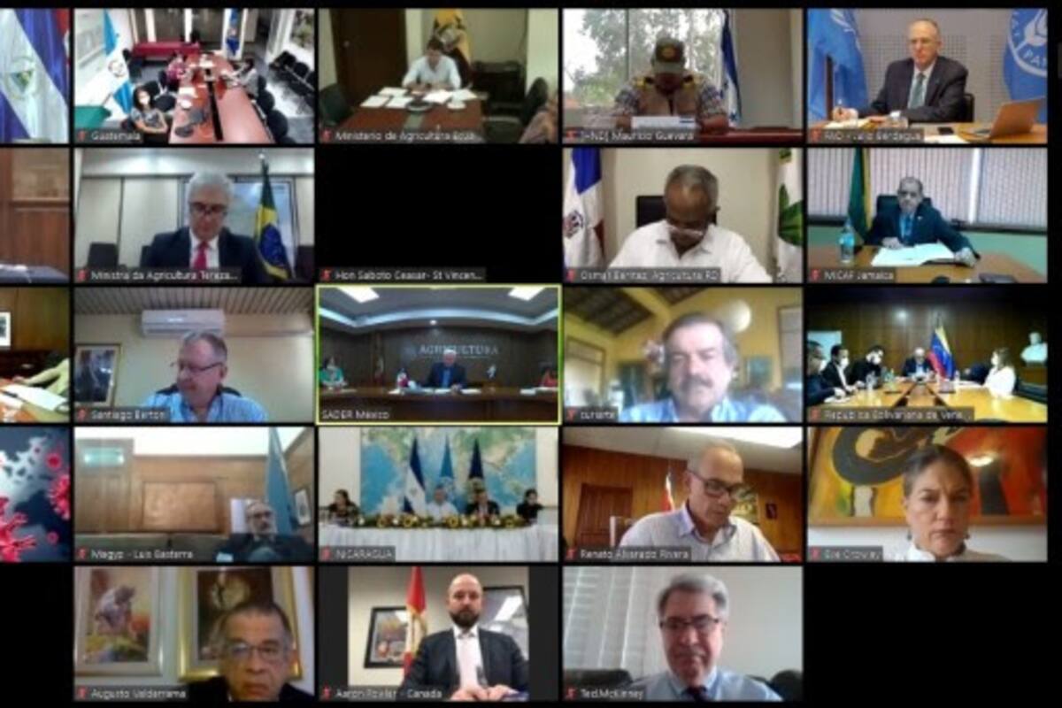 Ministros y Secretarios de Agricultura de 34 países de las Américas coordinan acciones para garantizar la alimentación frente al COVID-19