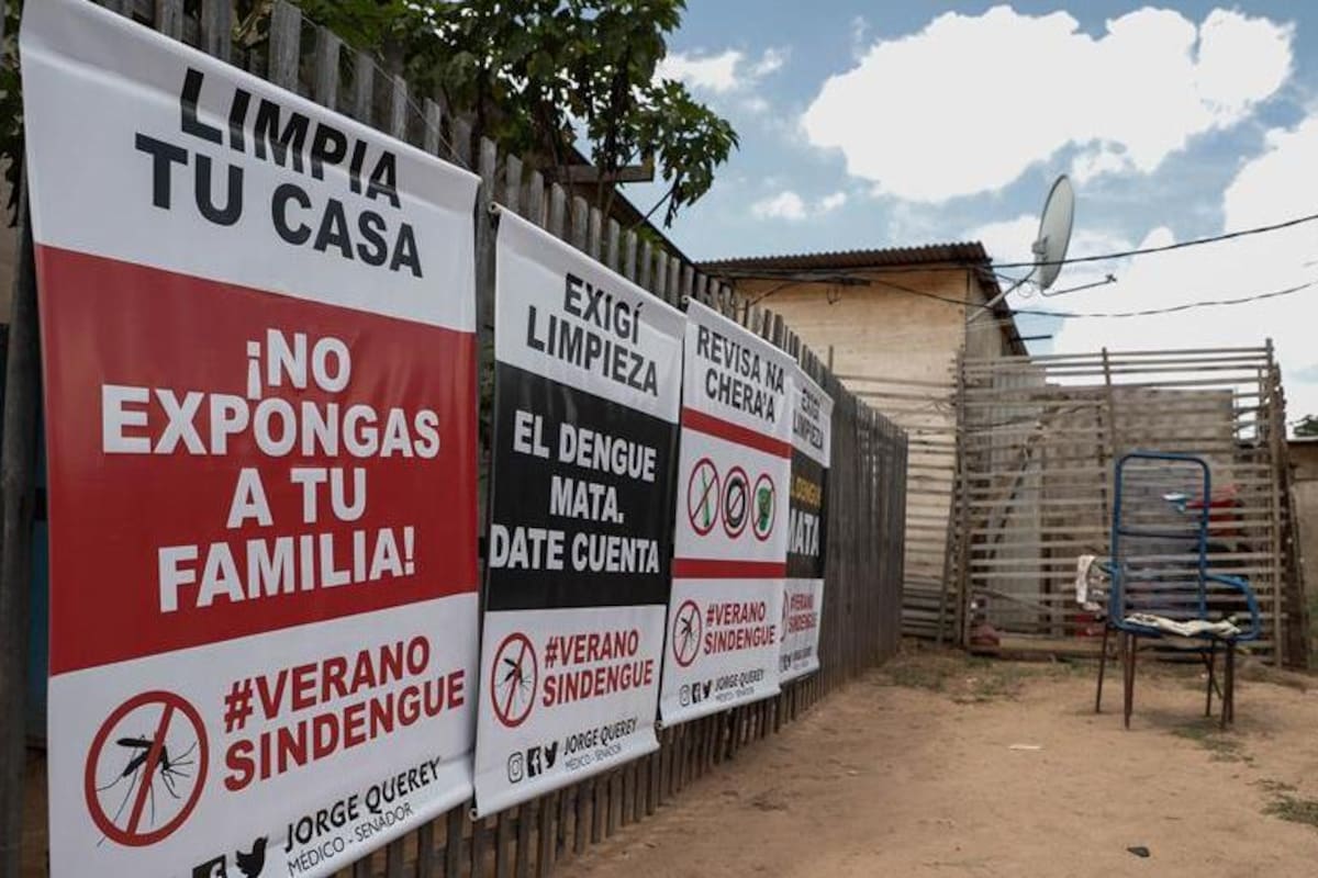 Argentina lucha contra el dengue además del coronavirus: Hubo 5 muertos