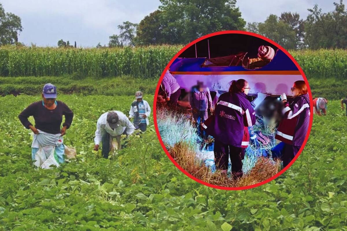 Falla mecánica provoca la muerte de 5 jornaleros y deja 15 heridos en Zacatecas