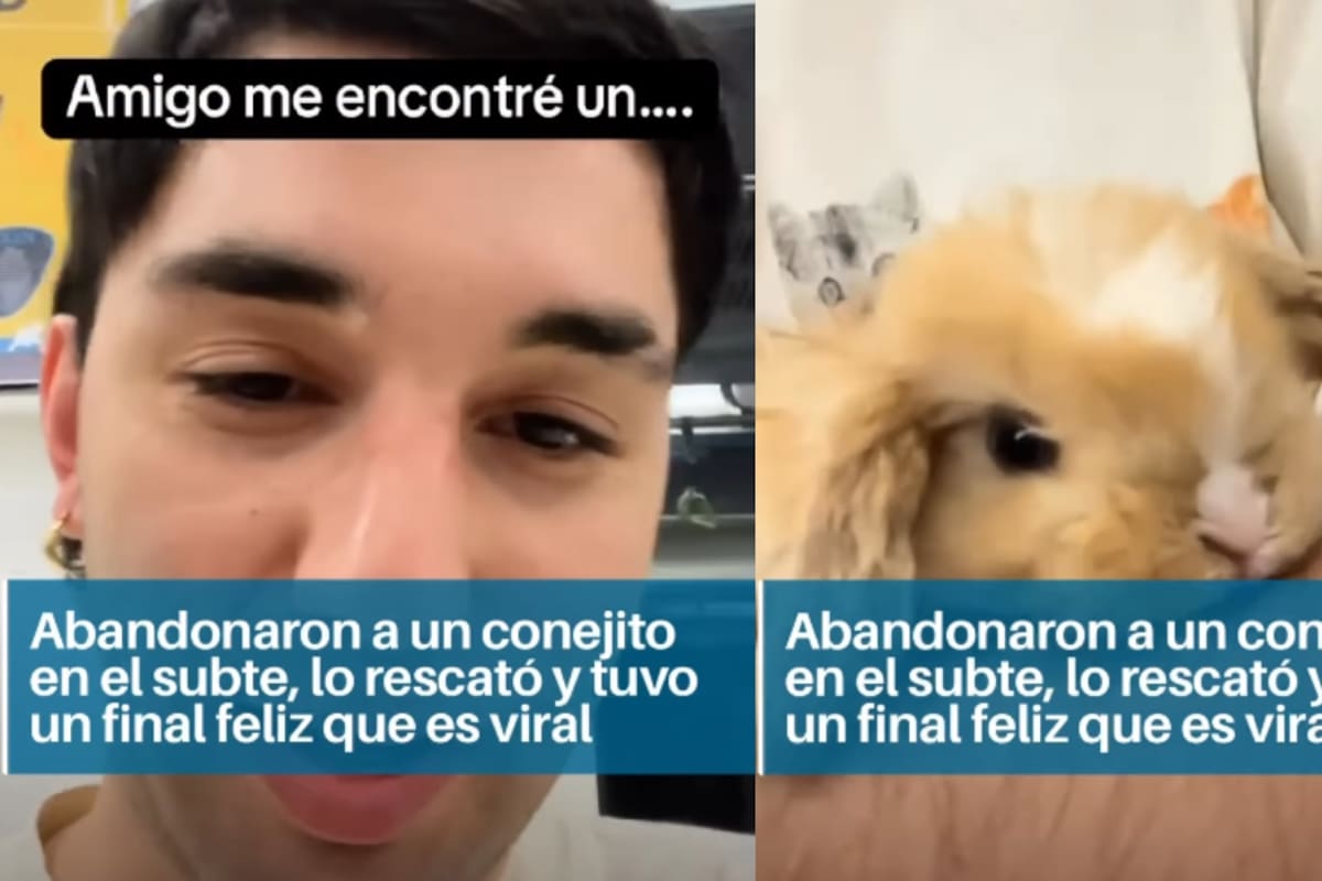 Joven conmociona redes sociales al rescatar a un conejito abandonado en el Metro