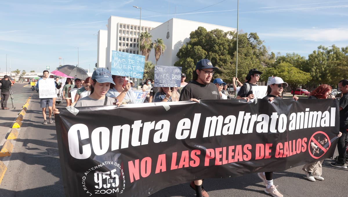 Protesta a favor de la Ley de Protección y Bienestar Animal en Hermosillo. Foto: Archivo digital GH