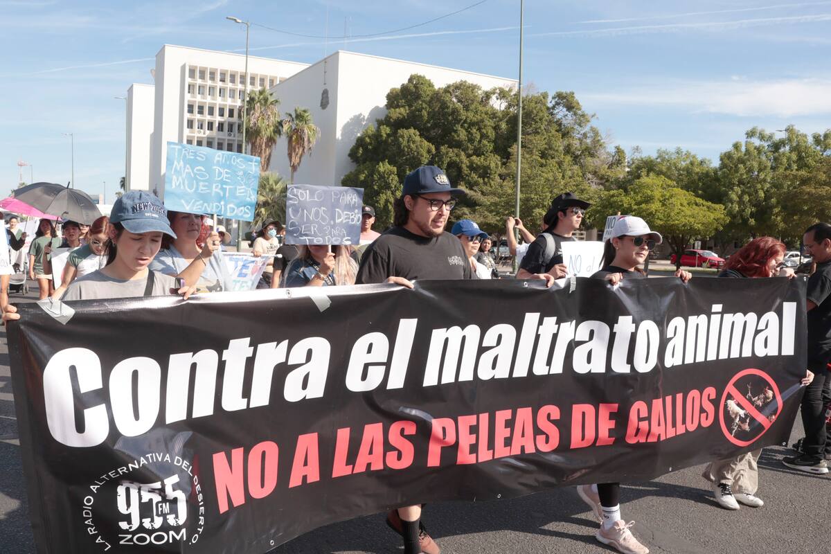 Marchan a favor de la Ley de Protección Animal