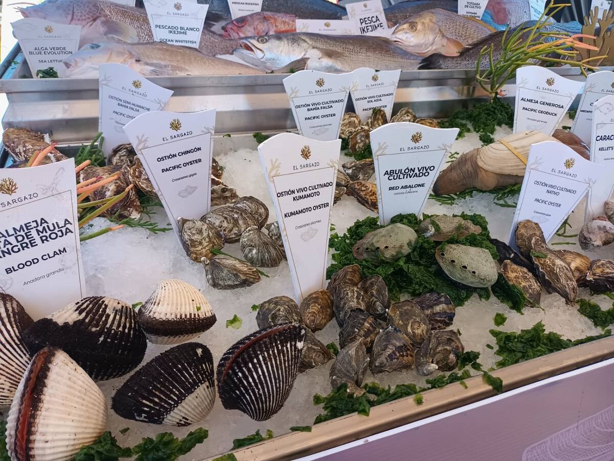 También se expuso una muestra de la actividad pesquera.