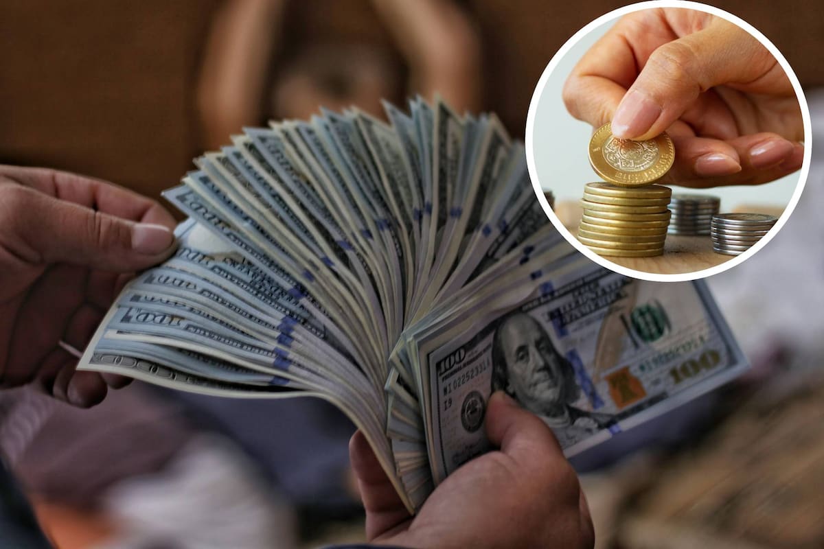 El dólar registra pérdidas y así cotiza el tipo de cambio este sábado 18 de octubre de 2025