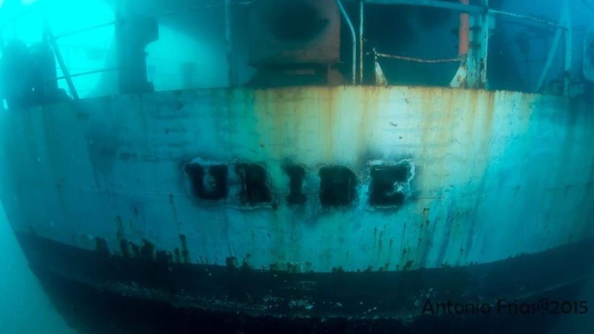 Parque Submarino en Rosarito sigue sin despegar; proyecto lleva más de una década estancado