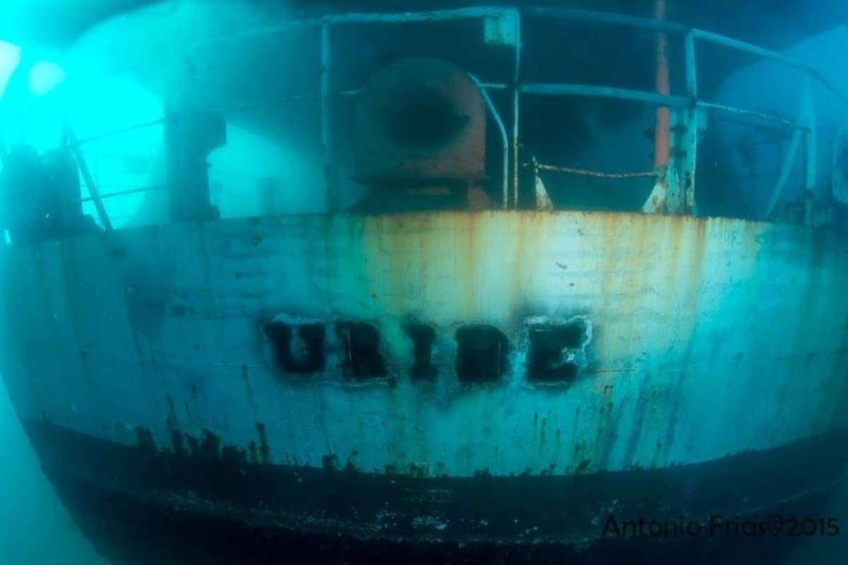 Parque Submarino en Rosarito sigue sin despegar; proyecto lleva más de una década estancado