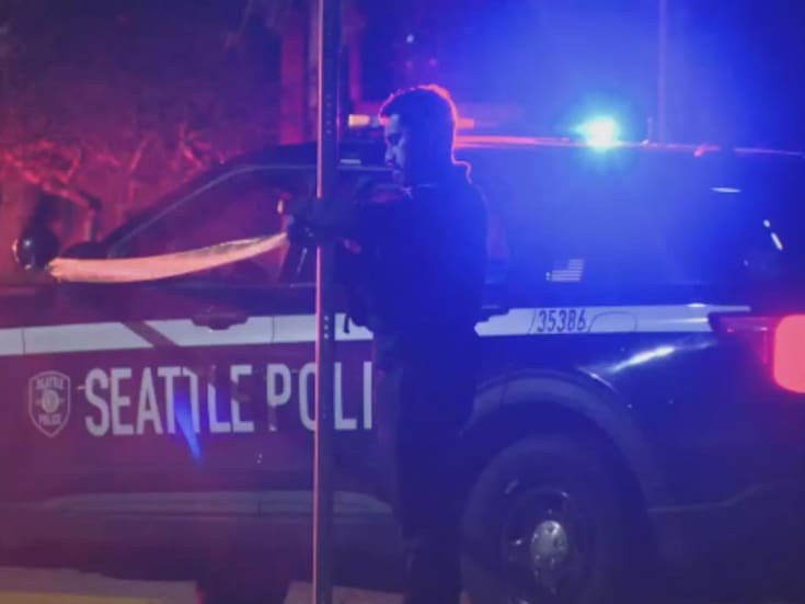 Un hombre de 61 años protegió a su hija adolescente durante una invasión a su hogar armado con una sartén y un cuchillo de cocina