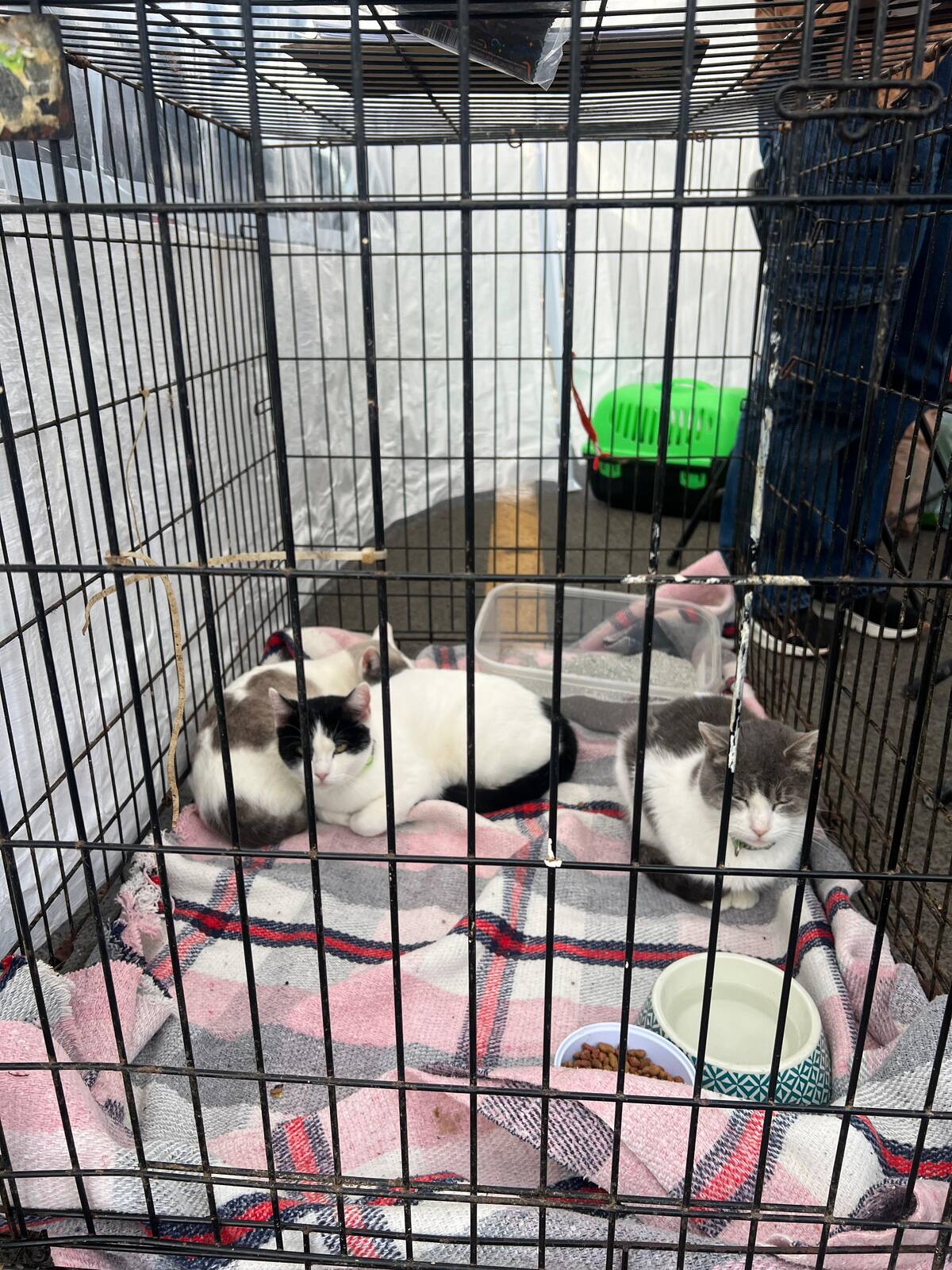 Foto: Leonardo González