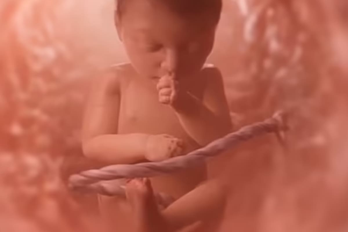 Los niños que nacieron dos veces