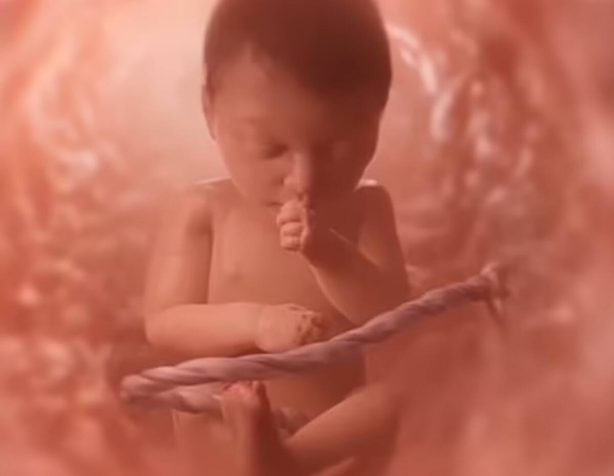 Gracias a las cámaras de videovigilancia instaladas en la zona, se logró identificar a un hombre que, durante la madrugada, depositó la bolsa en la jardinera tras asegurarse de que no hubiera personas cerca. FOTO: Captura