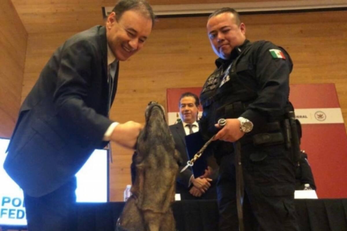 Gobiernos previos abandonaron a la PF: SSPC