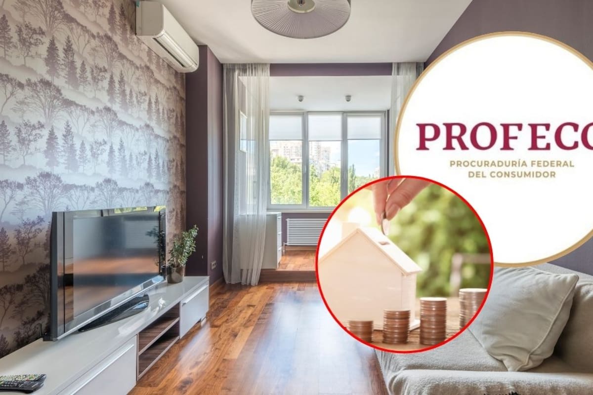 Estos son los “vampiros eléctricos” que la Profeco recomienda evitar para ahorrar energía en casa