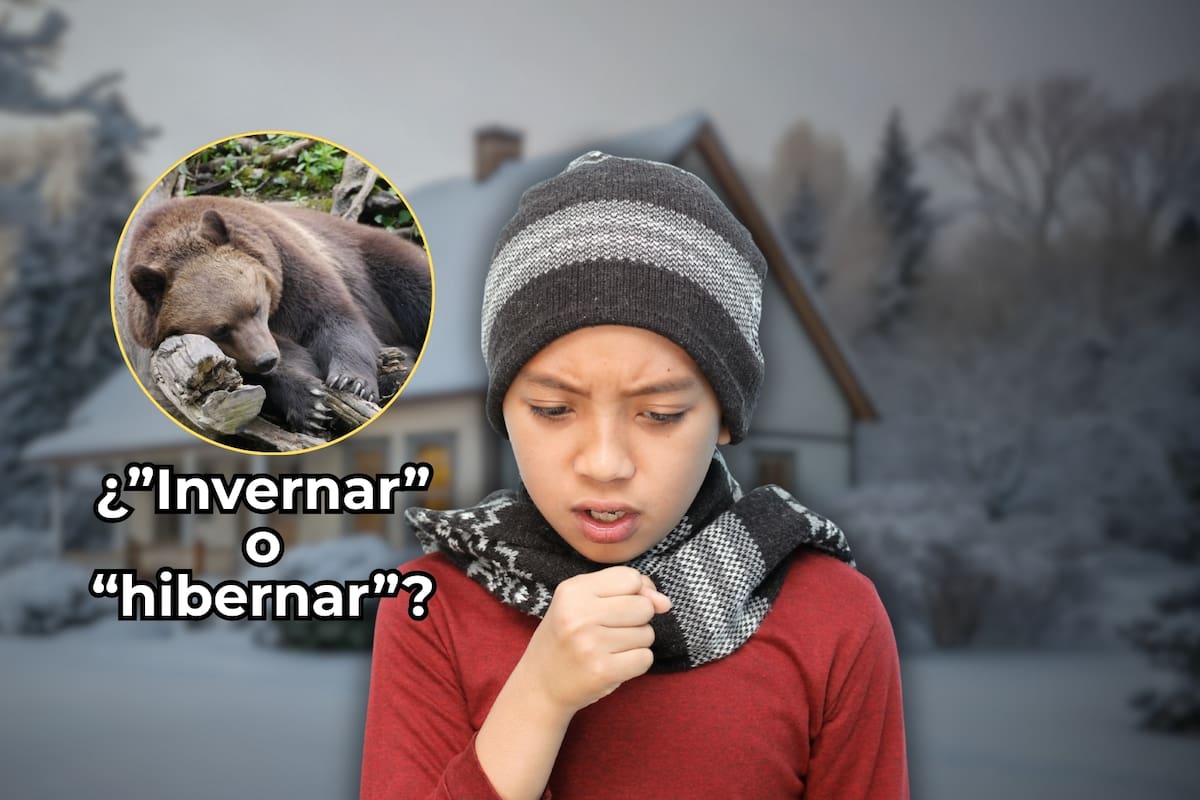 ¿Se dice “invernar” o “hibernar”? La RAE explicó cuál es la diferencia y cuándo se debe usar cada verbo