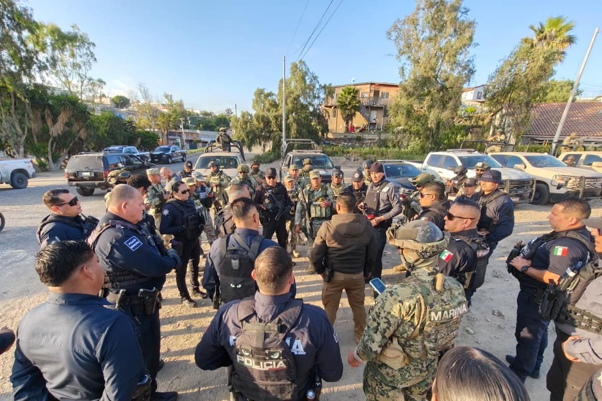 Inspeccionan restaurantes y viviendas en operativo en Popotla