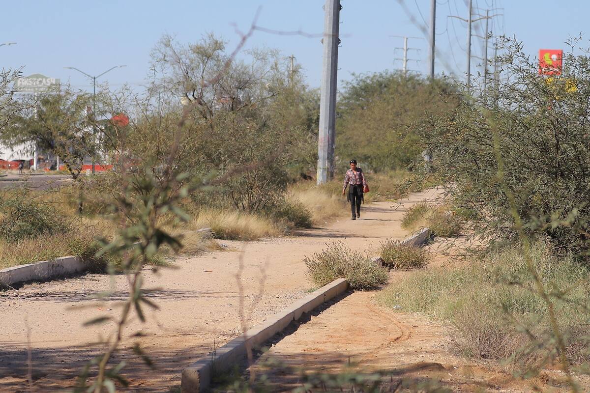 Piden más vigilancia en la Milla Norte
