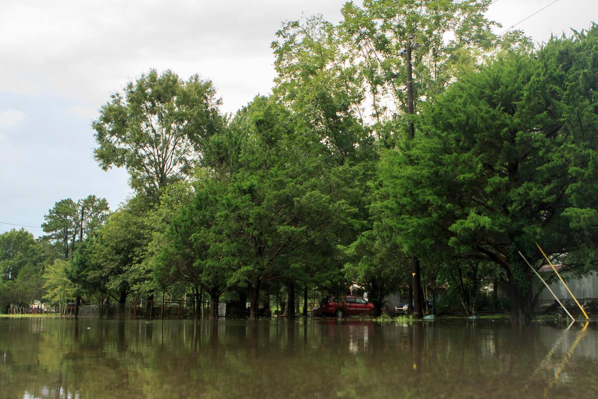 Libran inundaciones "catastróficas" por Barry en Nueva Orleans