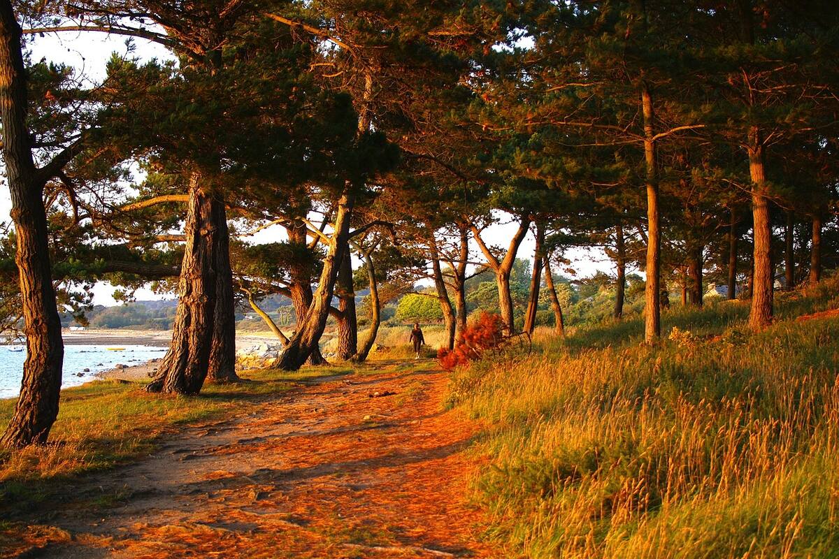 Equinoccio de otoño 2021: Cuando el día y la noche tienen la misma duración