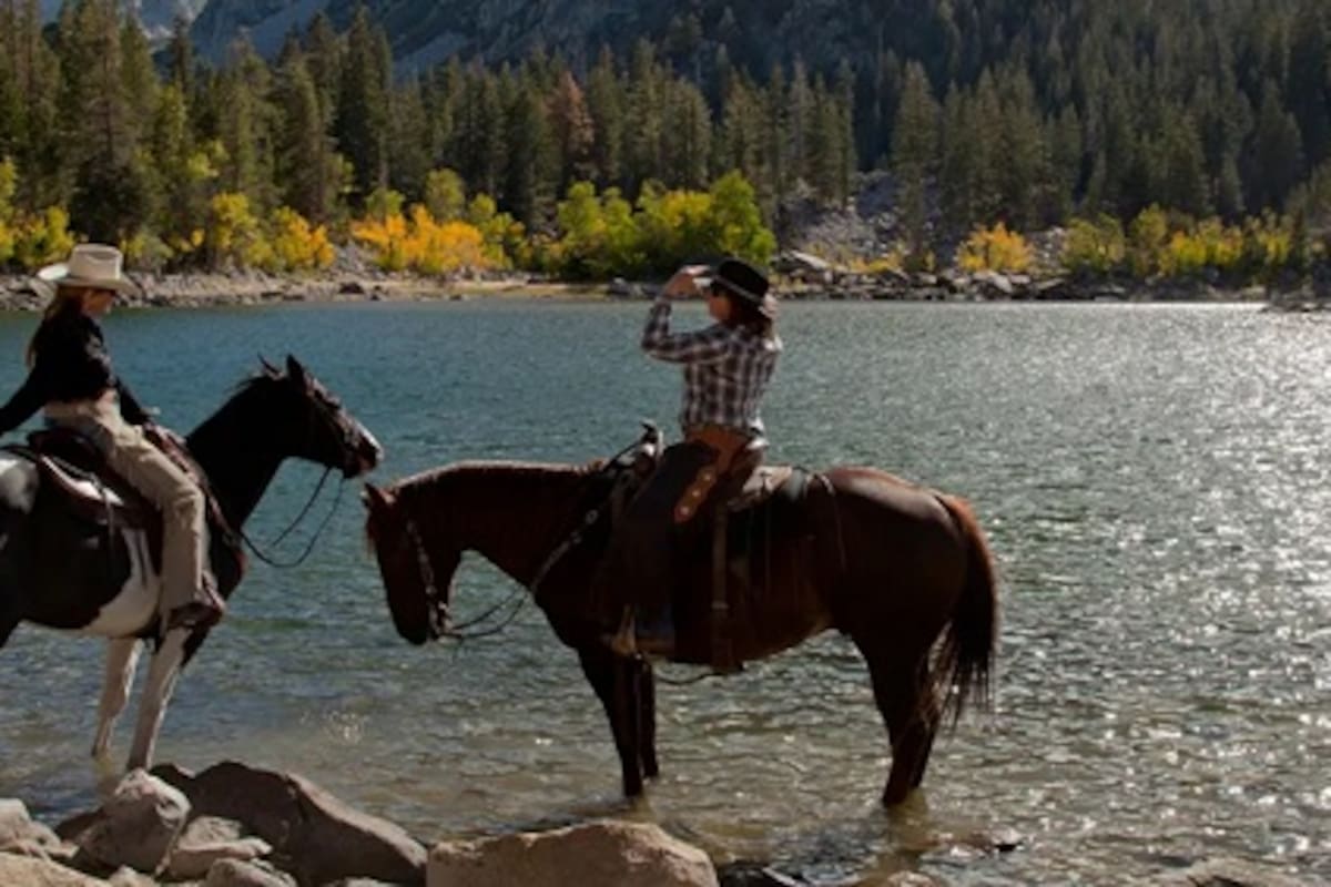 Paseo en bicicleta, senderismo y más en Mammoth Lakes, California