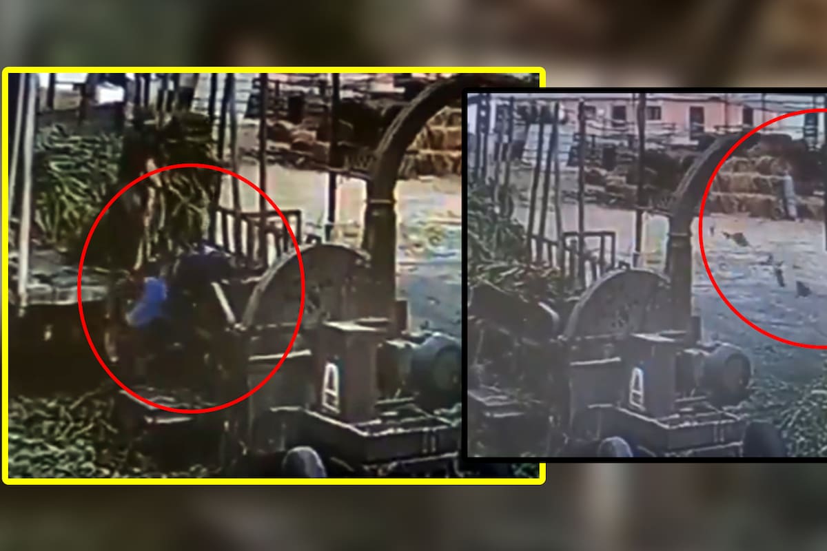 VIDEO: Hombre de 58 años muere triturado al caer en una máquina procesadora de alimentos en Perú