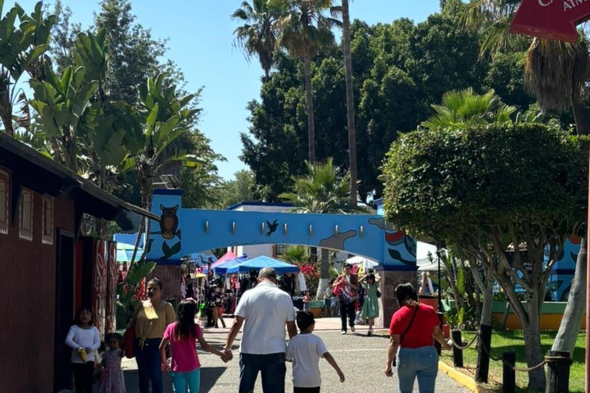Inspeccionan ingresos a parques