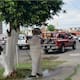 Recibe Bomberos hasta 12 reportes diarios por presencia de abejas, pero la ley limita su actuación