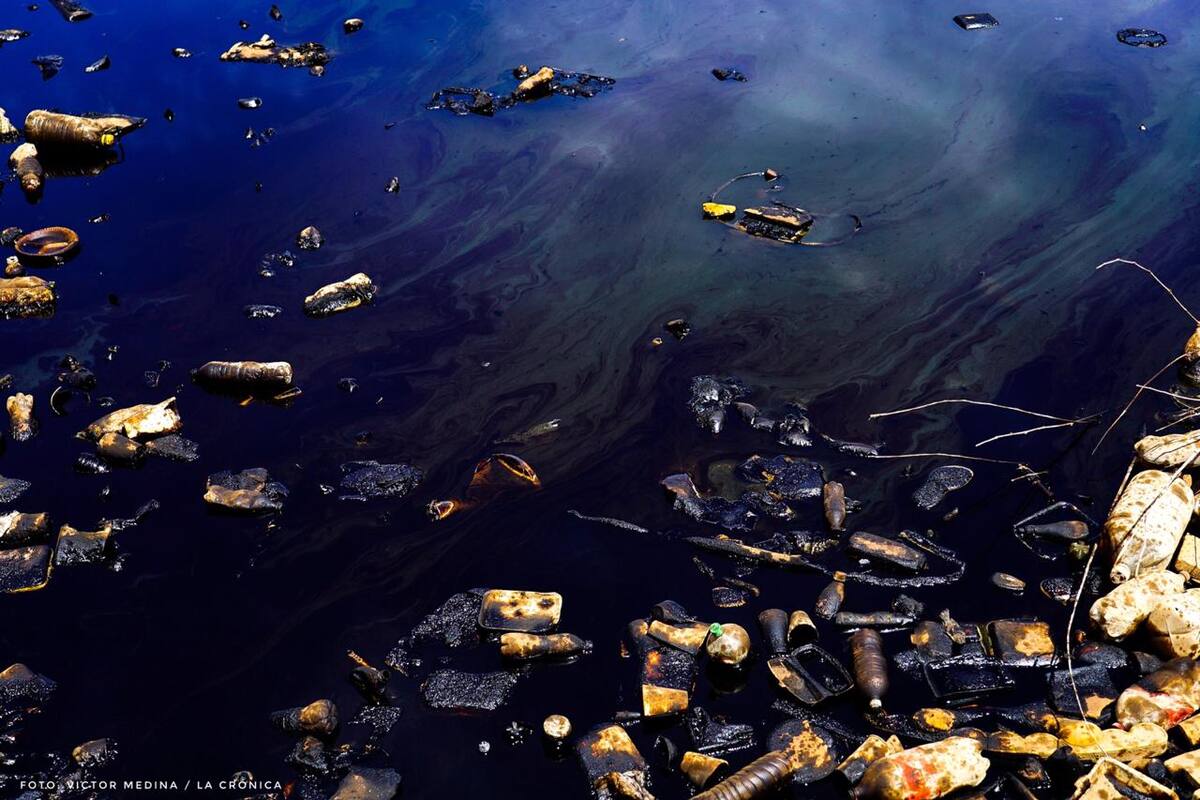 Desastre ecológico en canal del ejido Sinaloa