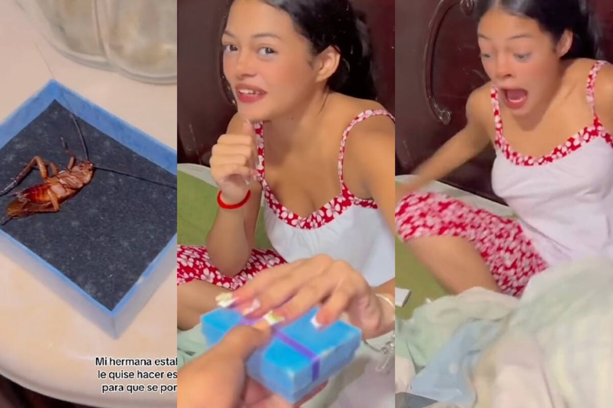 Joven le juega una pesada broma a su hermana al darle una caja de regalo con una cucaracha viva