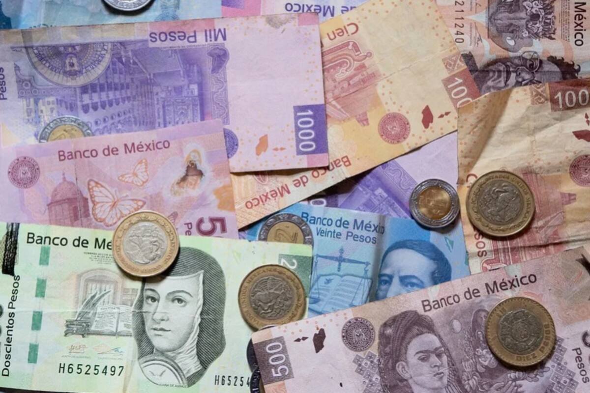 Amplían créditos a pequeñas y medianas empresas de Sonora