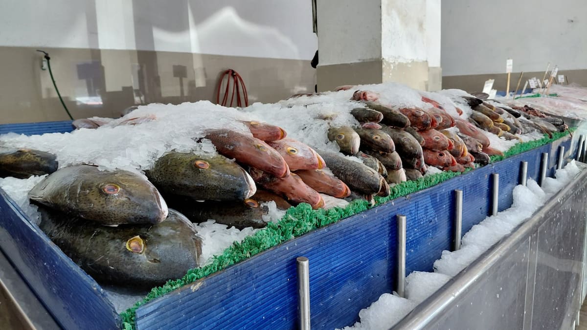 Comerciantes del sector reportaron un incremento de alrededor del 30% en sus ventas respecto al año pasado, con mayor afluencia de clientes principalmente durante los fines de semana. Foto: Lorena Salinas