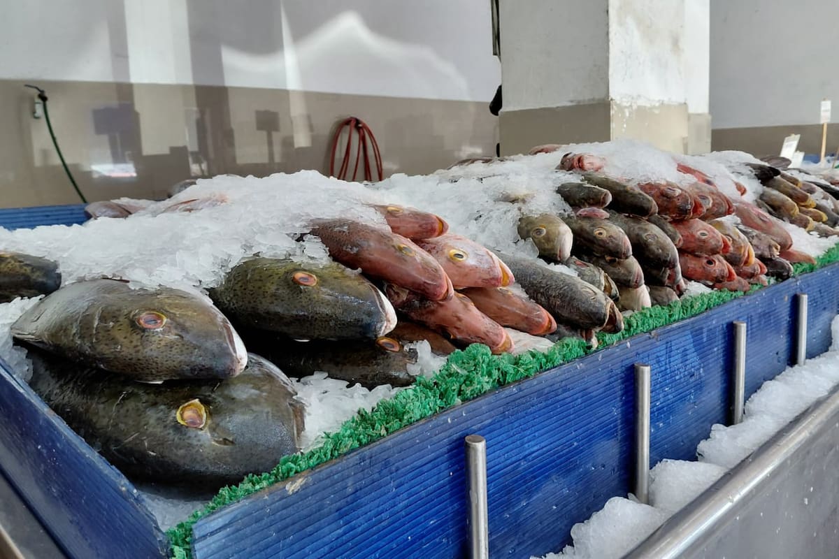 Aumentan ventas de pescados y mariscos en Tijuana