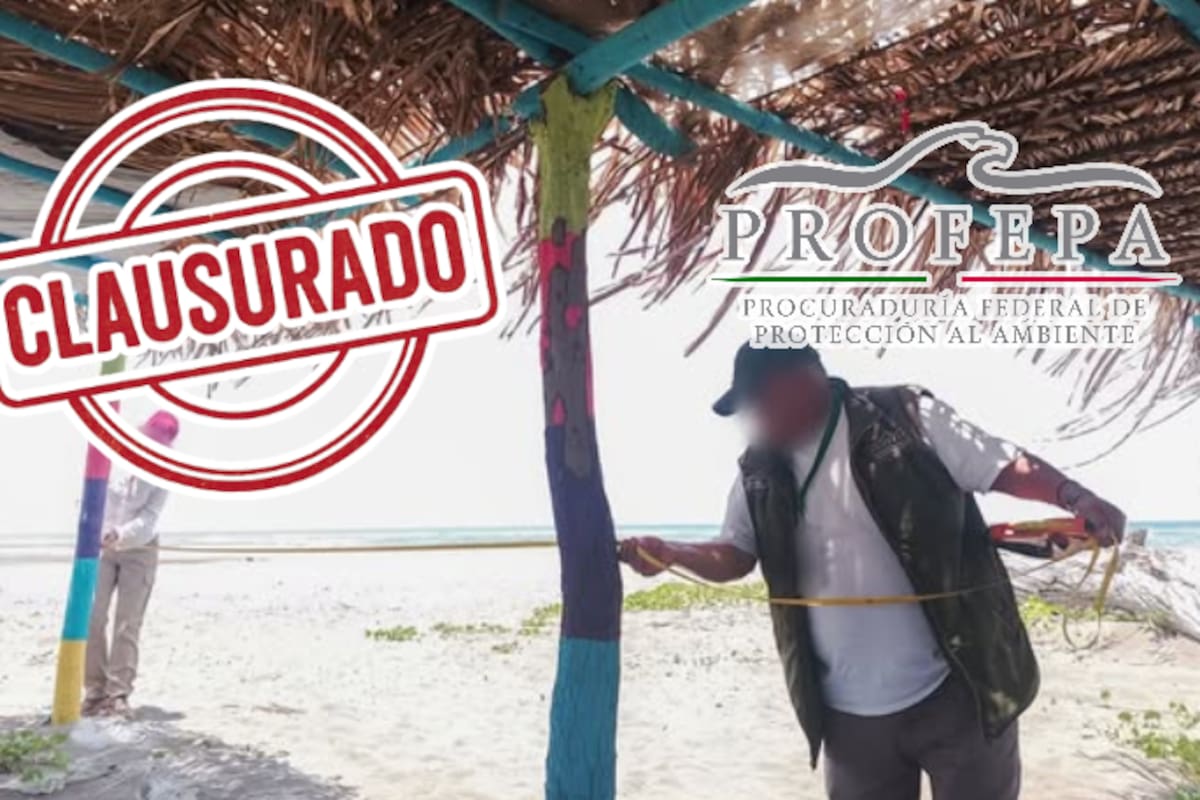 Palapas ilegales, fosas sépticas y clausuras: Profepa interviene zona costera en Veracruz por daño ambiental