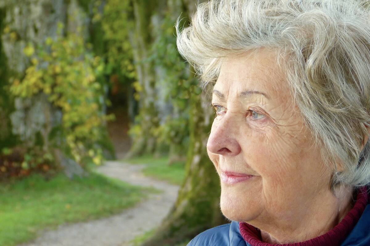 Los adultos mayores también pueden hacer ejercicio desde casa
