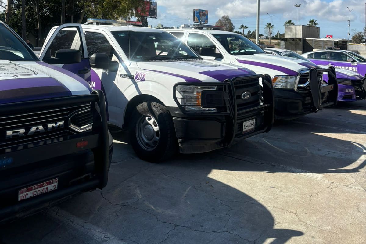 Escuadrón Violeta inicia operaciones en Tijuana