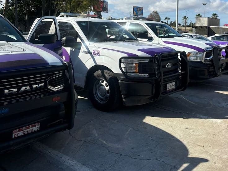 Violencia familiar concentra la mayoría de los reportes atendidos por el Escuadrón Violeta