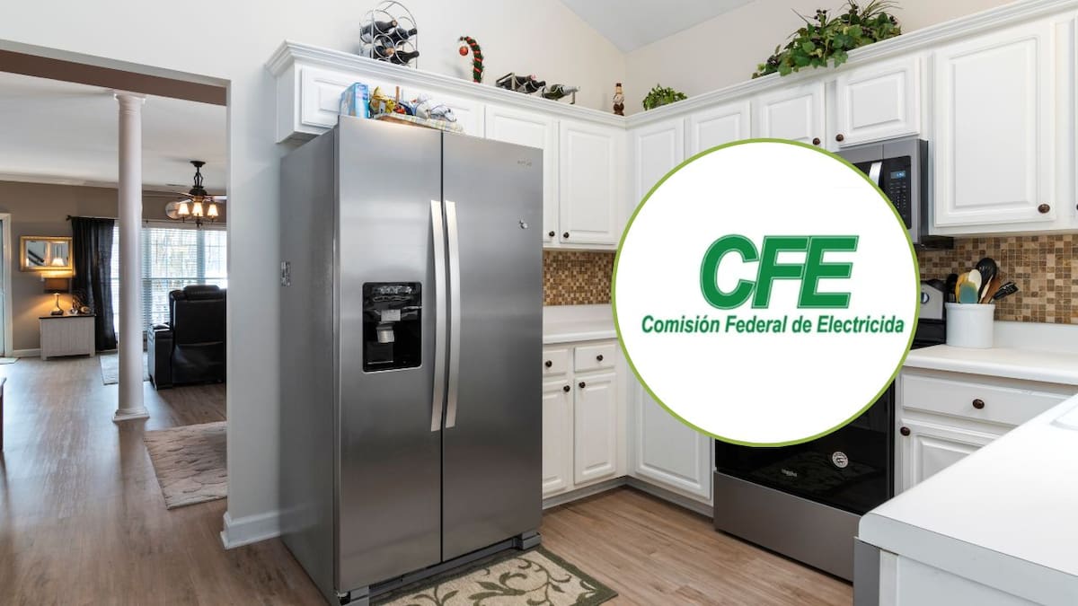 El refrigerador es el electrodoméstico que más electricidad consume en casa, según la CFE, porque funciona durante todo el día. Para ahorrar, recomienda mantenerlo lejos de fuentes de calor, revisar que la puerta selle bien, limpiar la parte trasera y ajustar correctamente la temperatura.