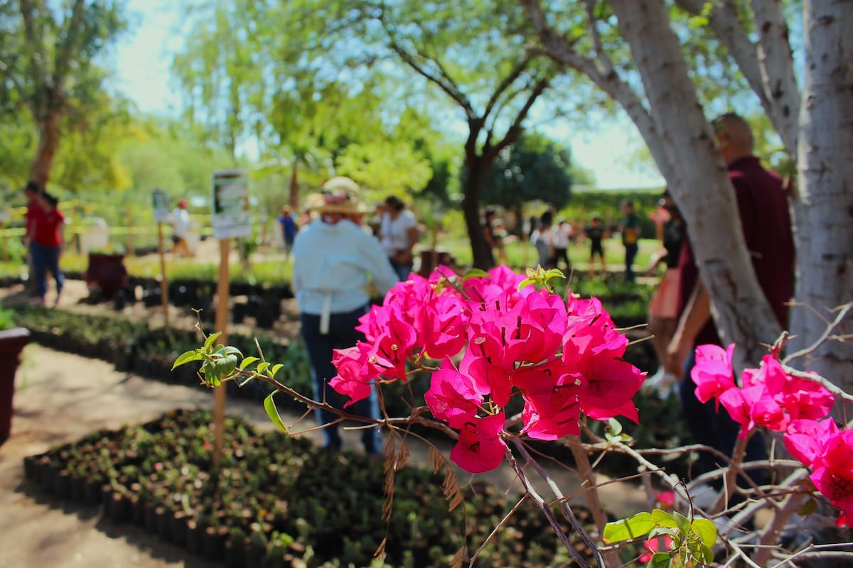 (Foto: Said Morones)