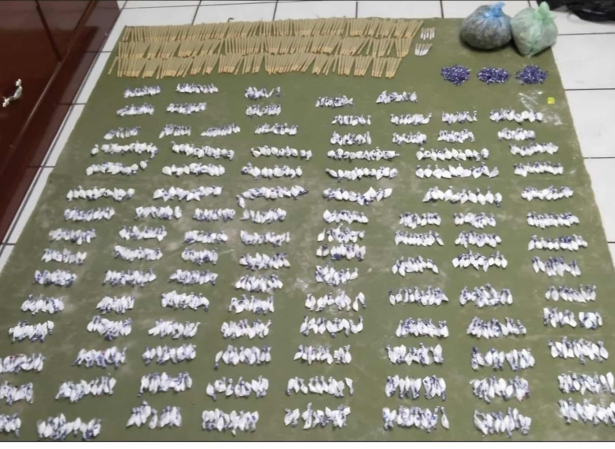 Aseguramiento de mil 070 dosis de cocaína, 295 de mariguana y 520 de metanfetamina.